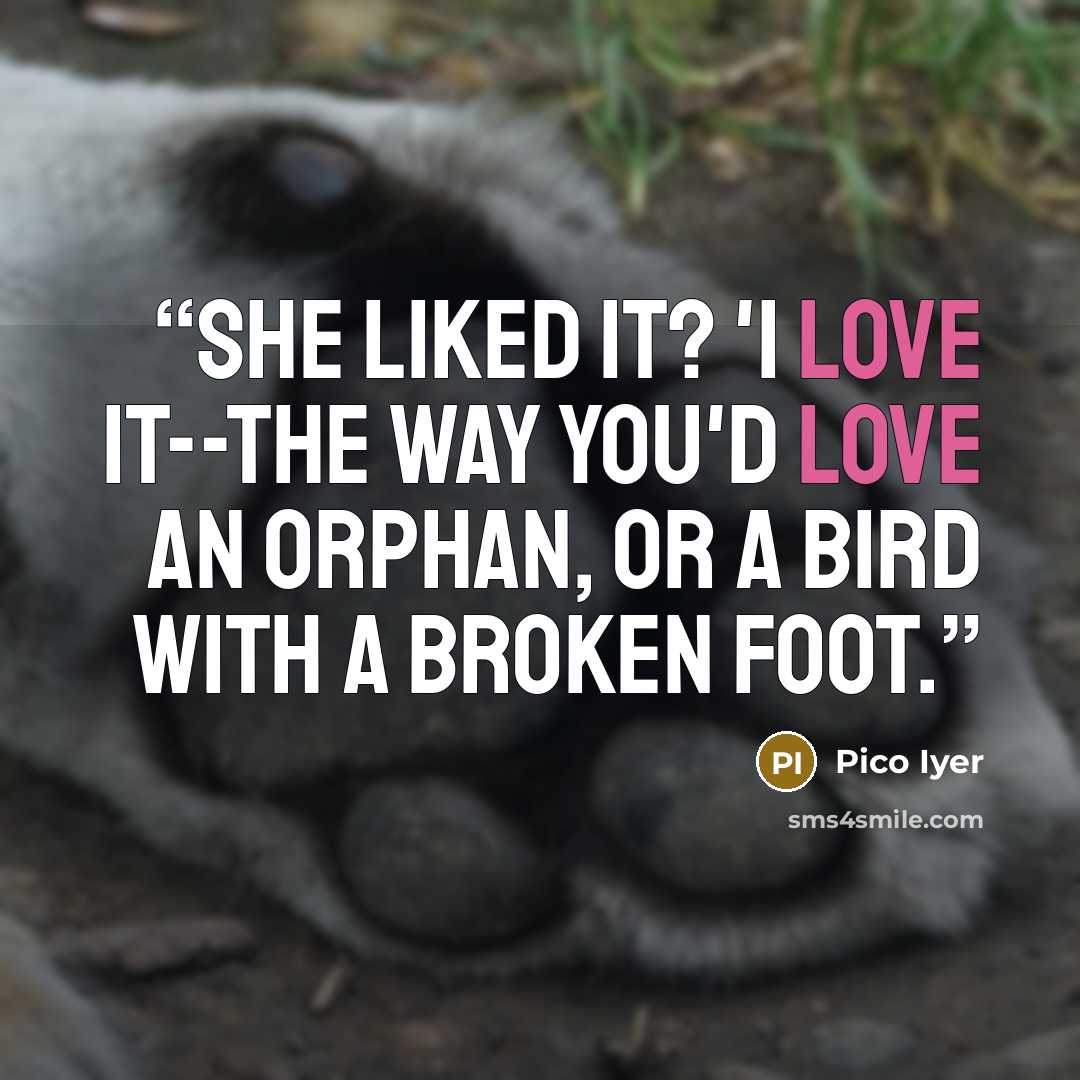 “She liked it? 'I love it--the way you'd love an orphan, or a bird with a broken foot.” quote by Pico Iyer