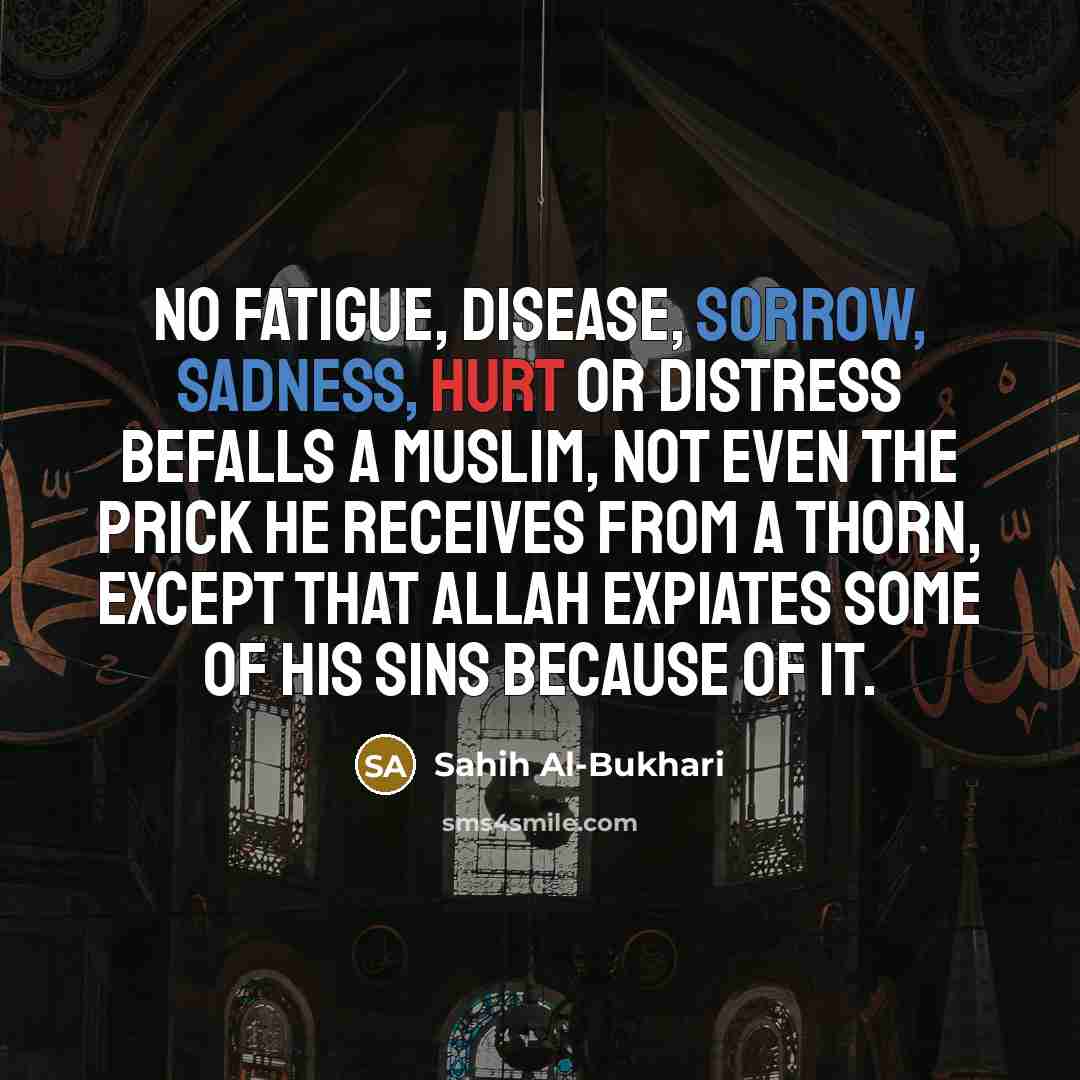 “No fatigue, disease, sorrow, sadness, hurt or distress befalls a Muslim, not even the prick he receives from a thorn, except that Allah expiates some of his sins because of it.” quote by Sahih Al-Bukhari