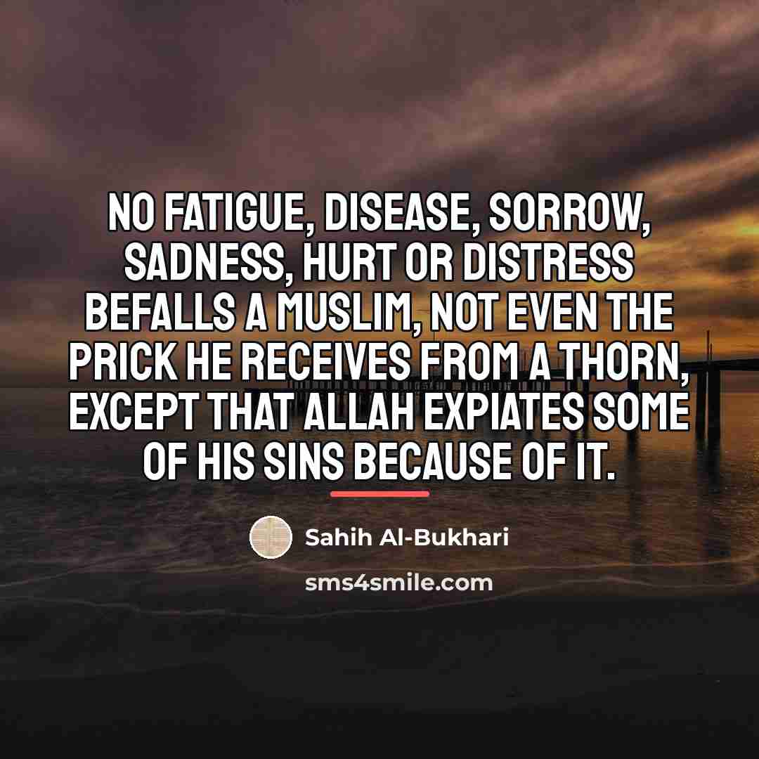 “No fatigue, disease, sorrow, sadness, hurt or distress befalls a…” quote by Sahih Al-Bukhari