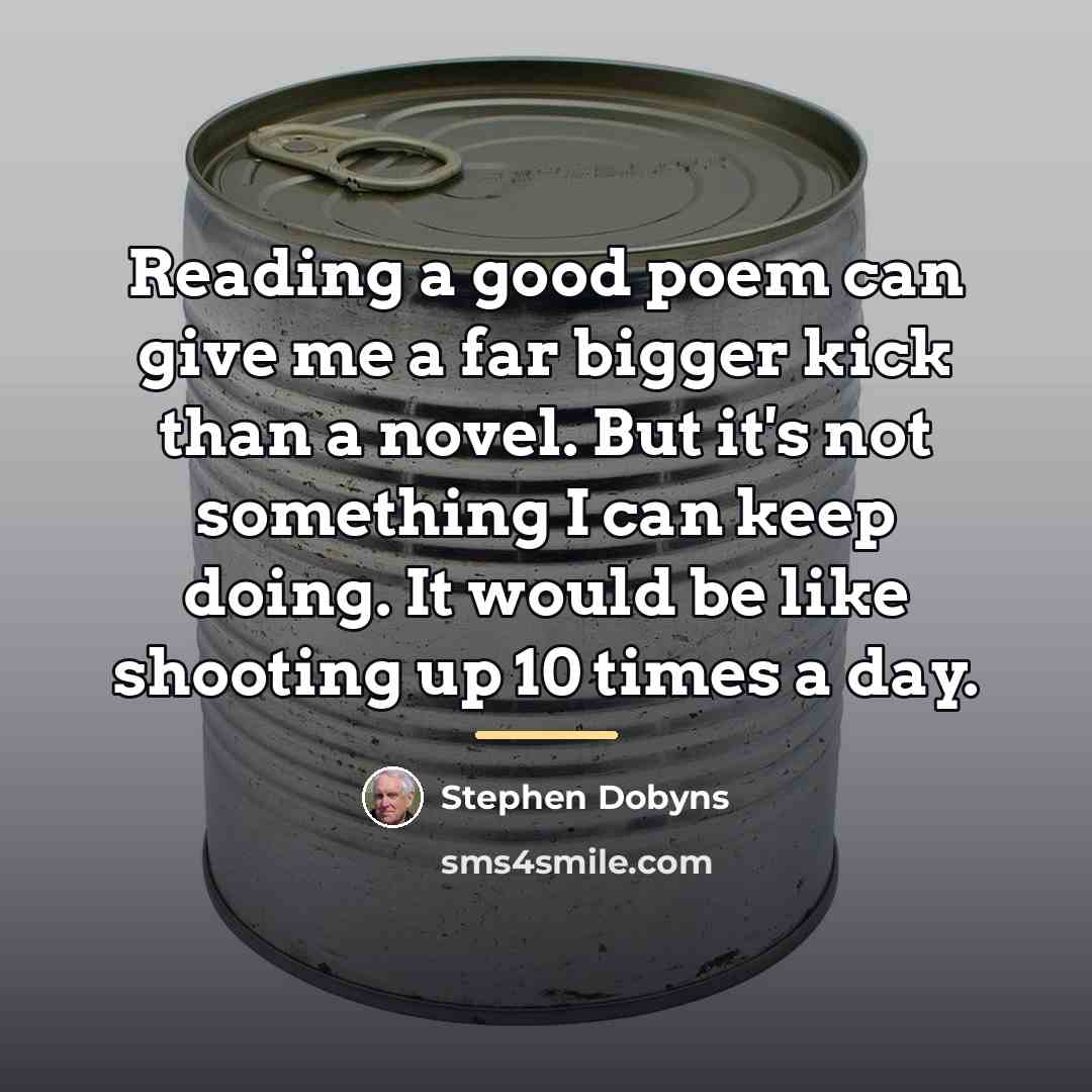 “Reading a good poem can give me a far bigger…” quote by Stephen Dobyns