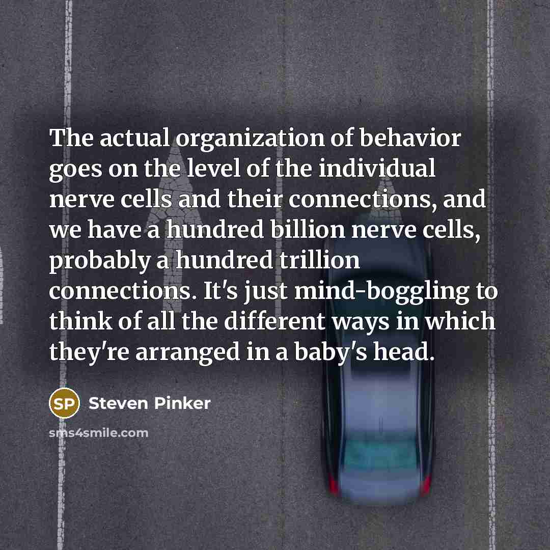 “The actual organization of behavior goes on the level of…” quote by Steven Pinker