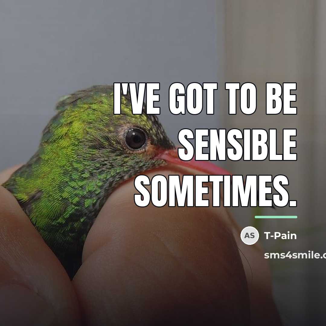 “I've got to be sensible sometimes.…” quote by T-Pain