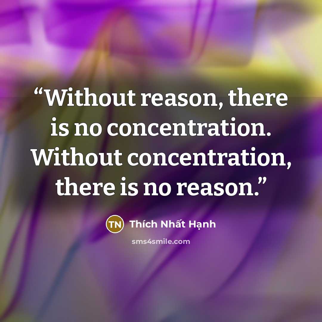 “Without reason, there is no concentration. Without concentration, there is no reason.” quote by Thích Nhất Hạnh