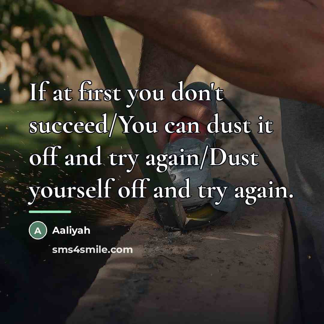 “If at first you don't succeed/You can dust it off…” quote by Aaliyah