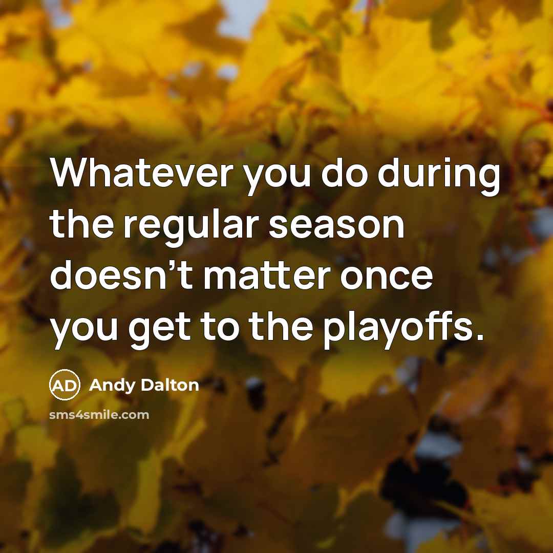 “Whatever you do during the regular season doesn't matter once you get to the playoffs.” quote by Andy Dalton