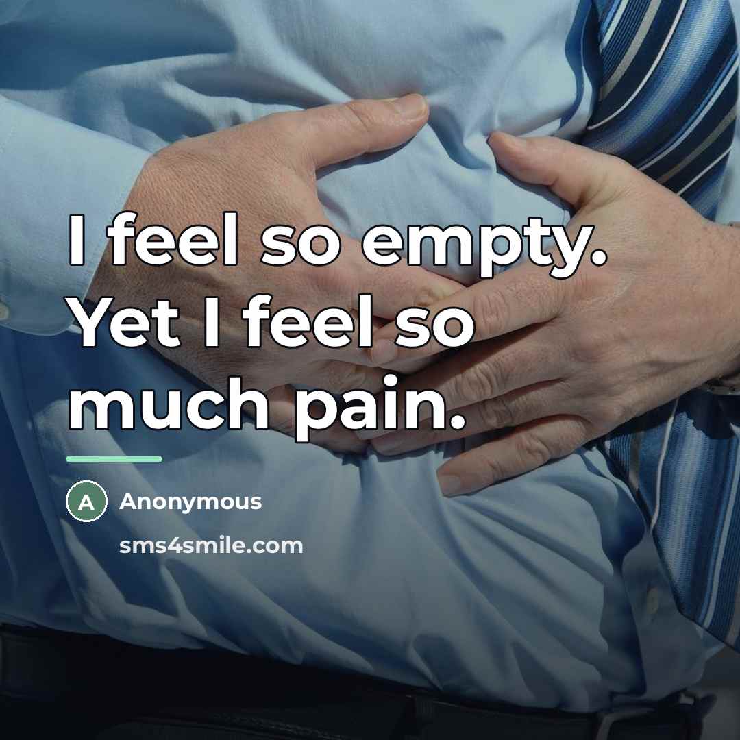 “I feel so empty. Yet I feel so much pain.…” quote by Anonymous