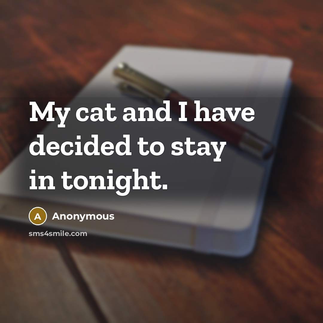 “My cat and I have decided to stay in tonight.…” quote by Anonymous