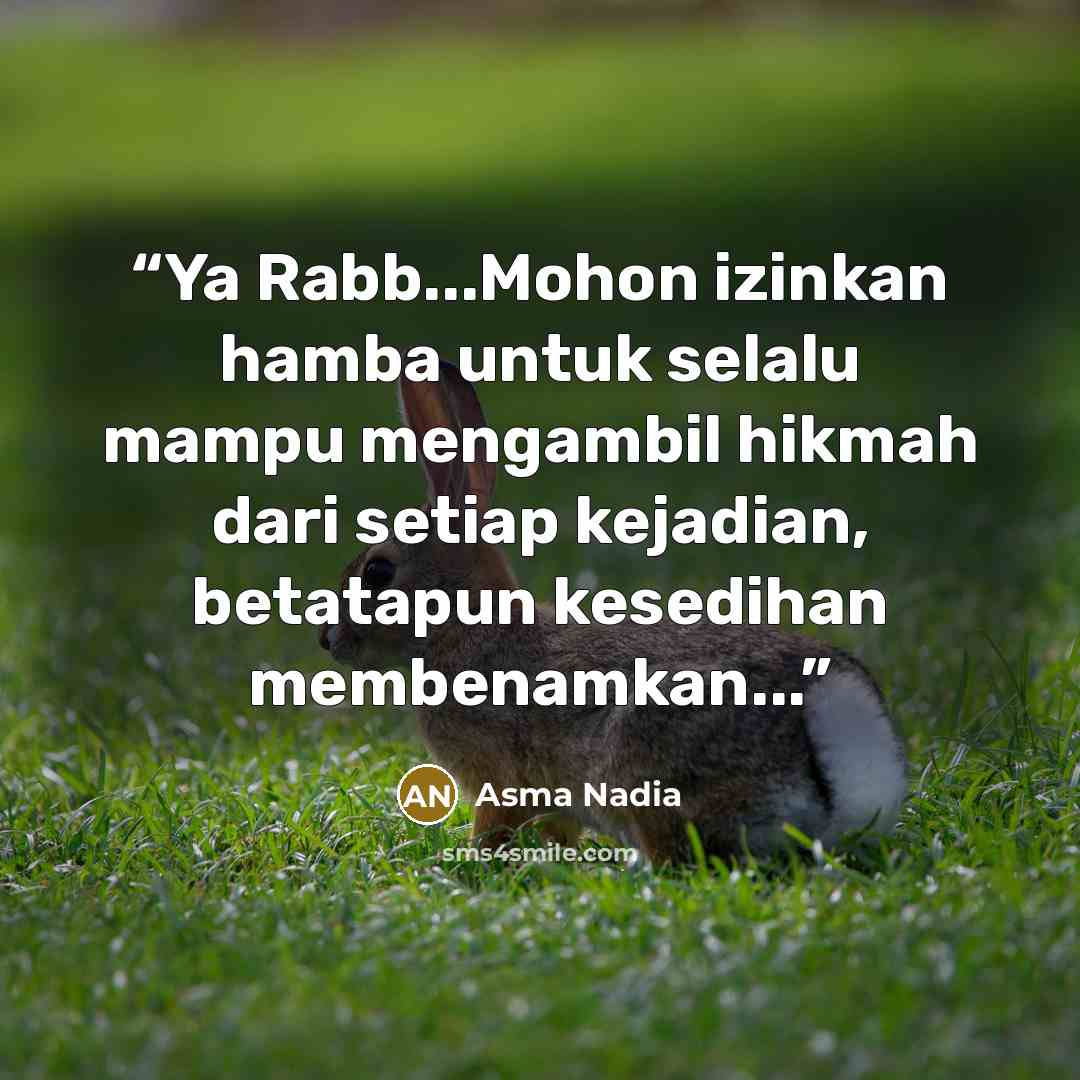 “Ya Rabb...Mohon izinkan hamba untuk selalu mampu mengambil hikmah dari setiap kejadian, betatapun kesedihan membenamkan...” quote by Asma Nadia