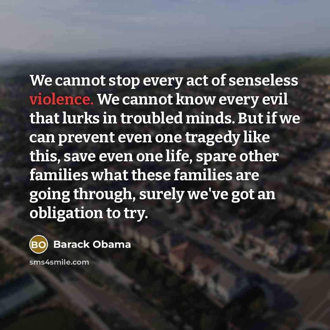 “We cannot stop every act of senseless violence. We cannot…” quote by Barack Obama