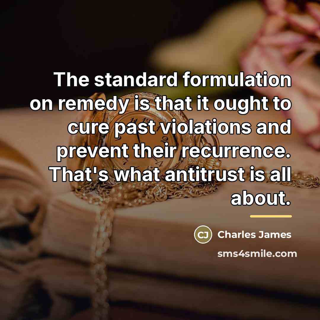 “The standard formulation on remedy is that it ought to…” quote by Charles James