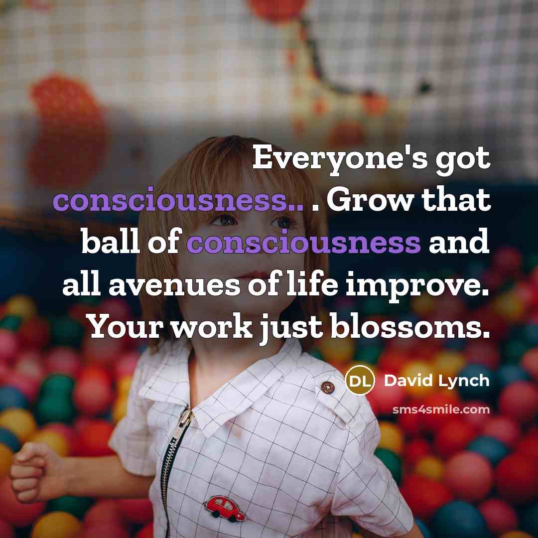 “Everyone's got consciousness.. . Grow that ball of consciousness and…” quote by David Lynch