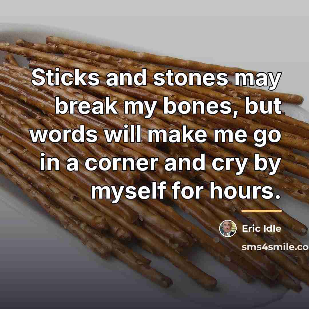 “Sticks and stones may break my bones, but words will…” quote by Eric Idle