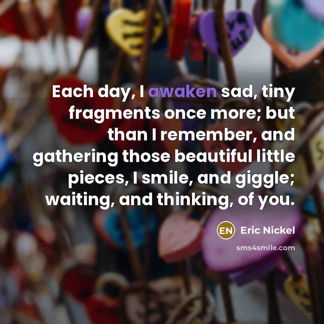“Each day, I awaken sad, tiny fragments once more; but…” quote by Eric Nickel