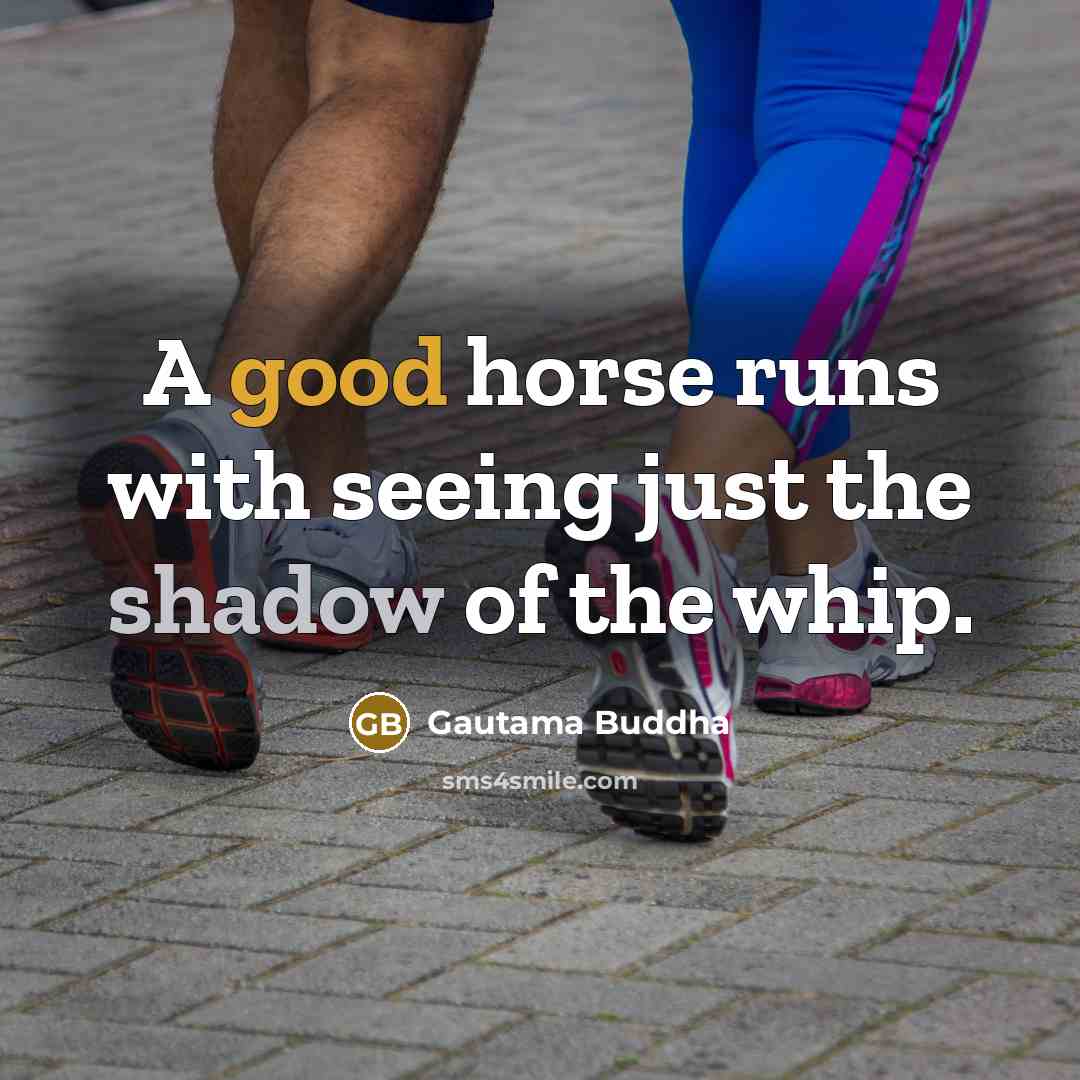 “A good horse runs with seeing just the shadow of…” quote by Gautama Buddha