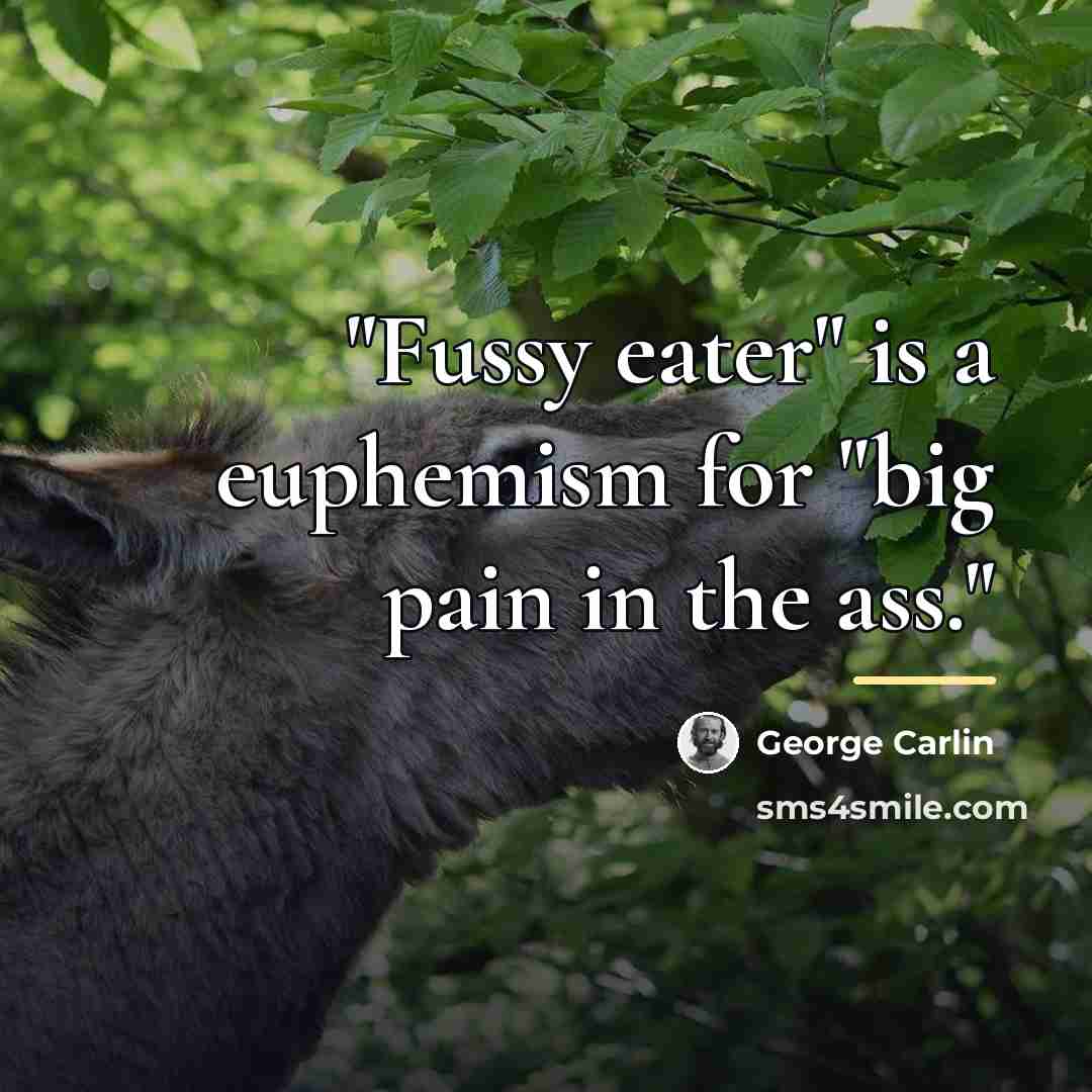 “"Fussy eater" is a euphemism for "big pain in the…” quote by George Carlin