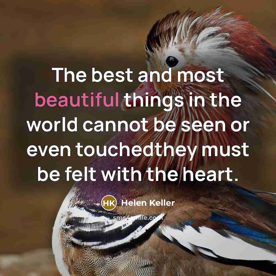 “The best and most beautiful things in the world cannot…” quote by Helen Keller