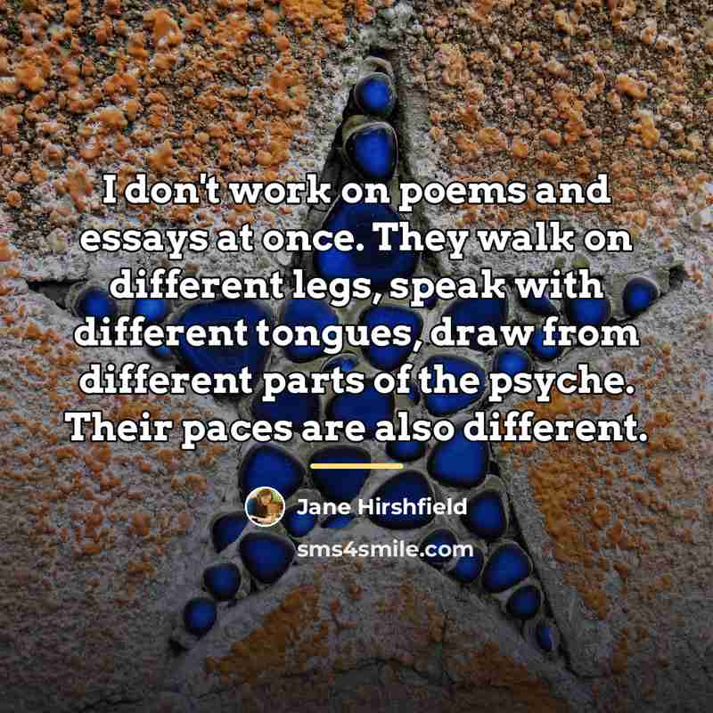 “I don't work on poems and essays at once. They…” quote by Jane Hirshfield