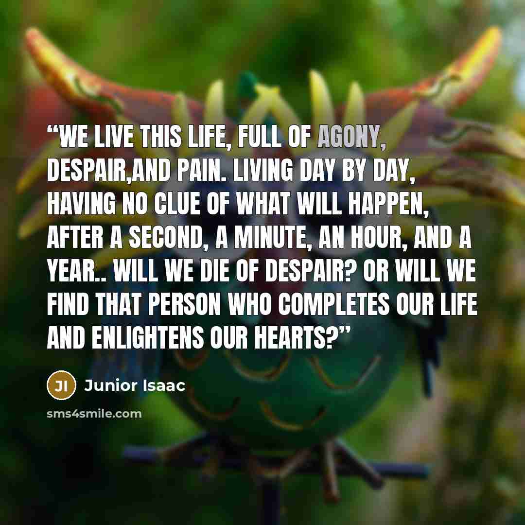 “We live this life, full of agony, despair,and pain. Living day by day, having no clue of what will happen, after a second, a minute, an hour, and a year.. Will we die of despair? Or will we find that person who completes our life and enlightens our hearts?” quote by Junior Isaac