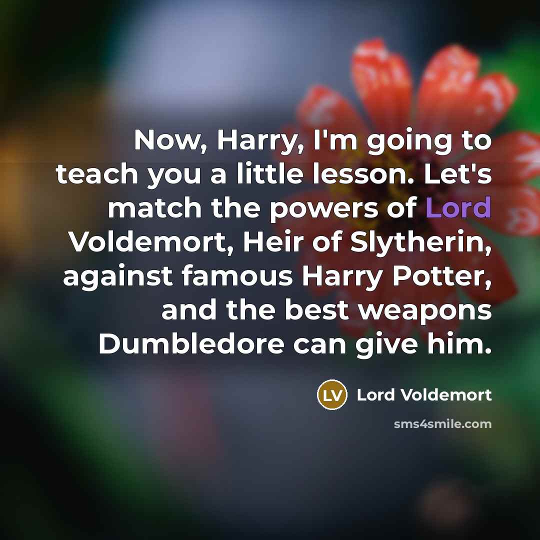 “Now, Harry, I'm going to teach you a little lesson.…” quote by Lord Voldemort