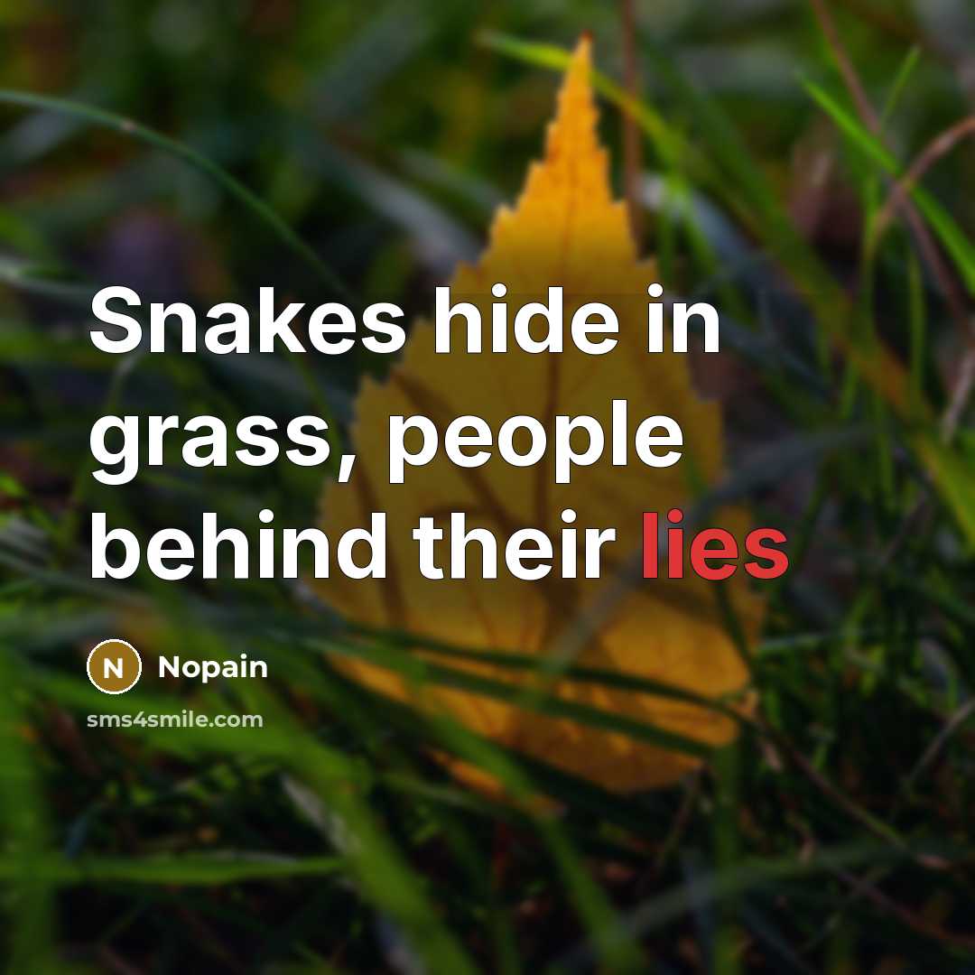 “Snakes hide in grass, people behind their lies” quote by Nopain