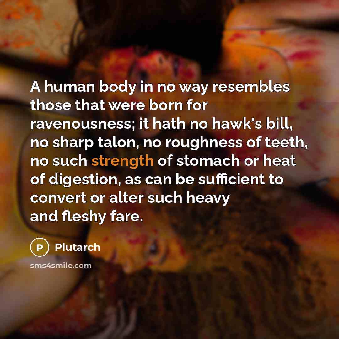 “A human body in no way resembles those that were…” quote by Plutarch