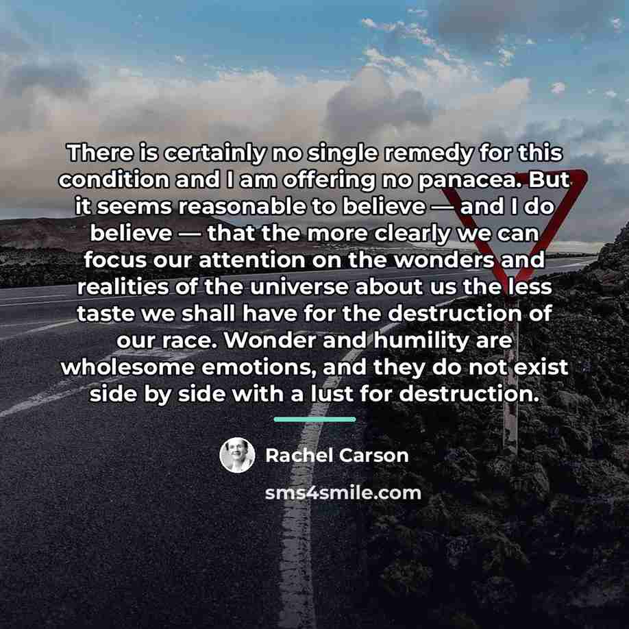 “There is certainly no single remedy for this condition and…” quote by Rachel Carson