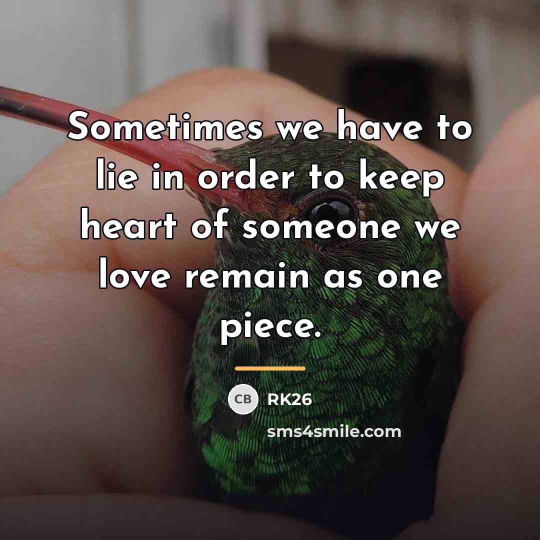 “Sometimes we have to lie in order to keep heart…” quote by RK26
