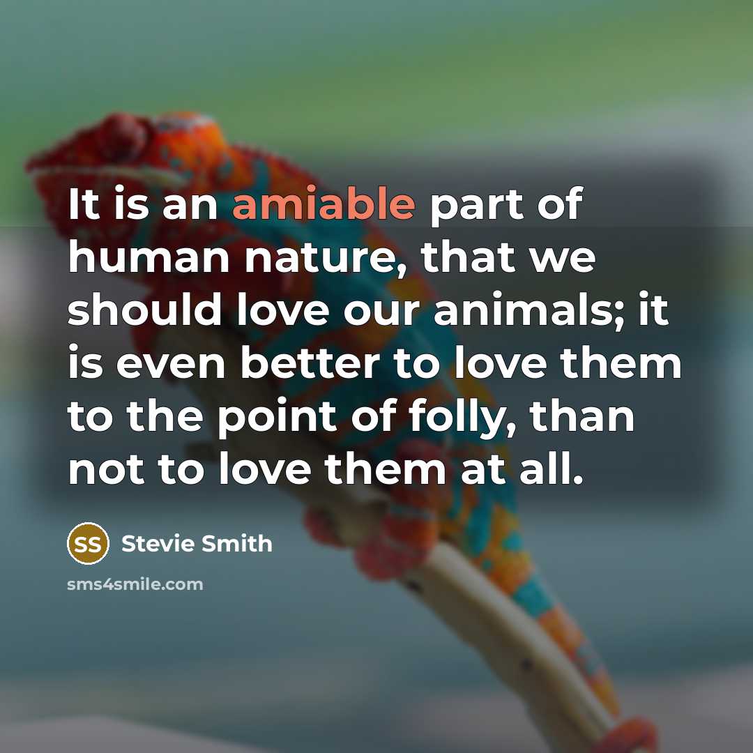 “It is an amiable part of human nature, that we…” quote by Stevie Smith