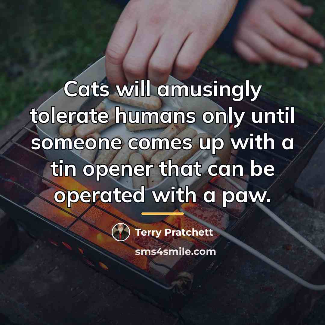 “Cats will amusingly tolerate humans only until someone comes up…” quote by Terry Pratchett