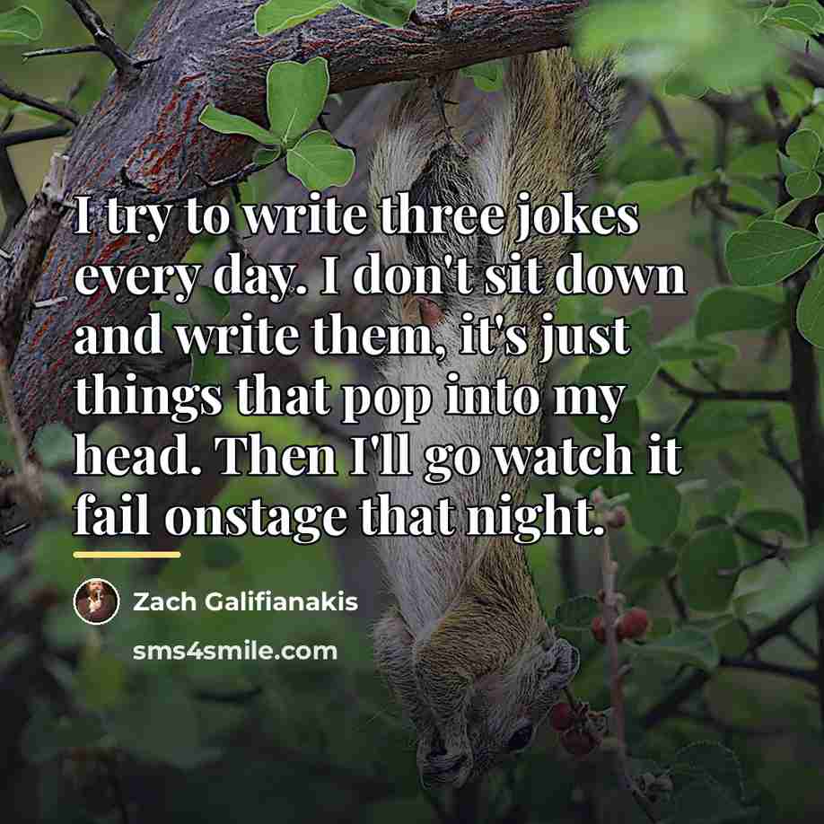 “I try to write three jokes every day. I don't…” quote by Zach Galifianakis