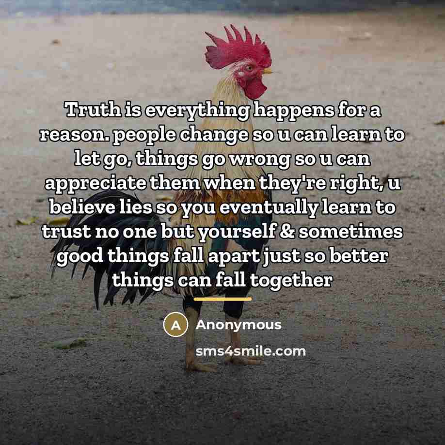 “Truth is everything happens for a reason. people change so…” quote by Anonymous