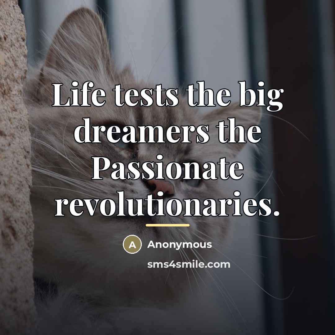 “Life tests the big dreamers the Passionate revolutionaries.…” quote by Anonymous