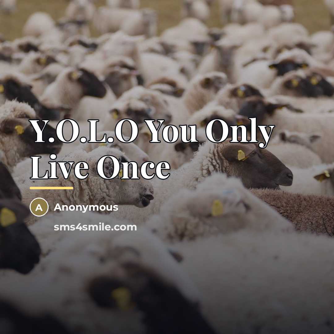 “Y.O.L.O You Only Live Once…” quote by Anonymous