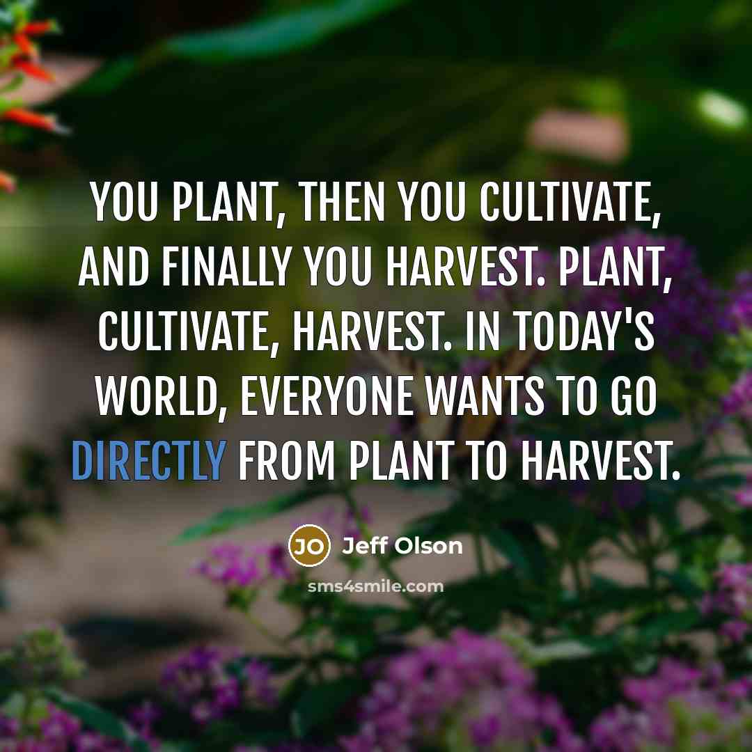 “You plant, then you cultivate, and finally you harvest. Plant, cultivate, harvest. In today's world, everyone wants to go directly from plant to harvest.” quote by Jeff Olson
