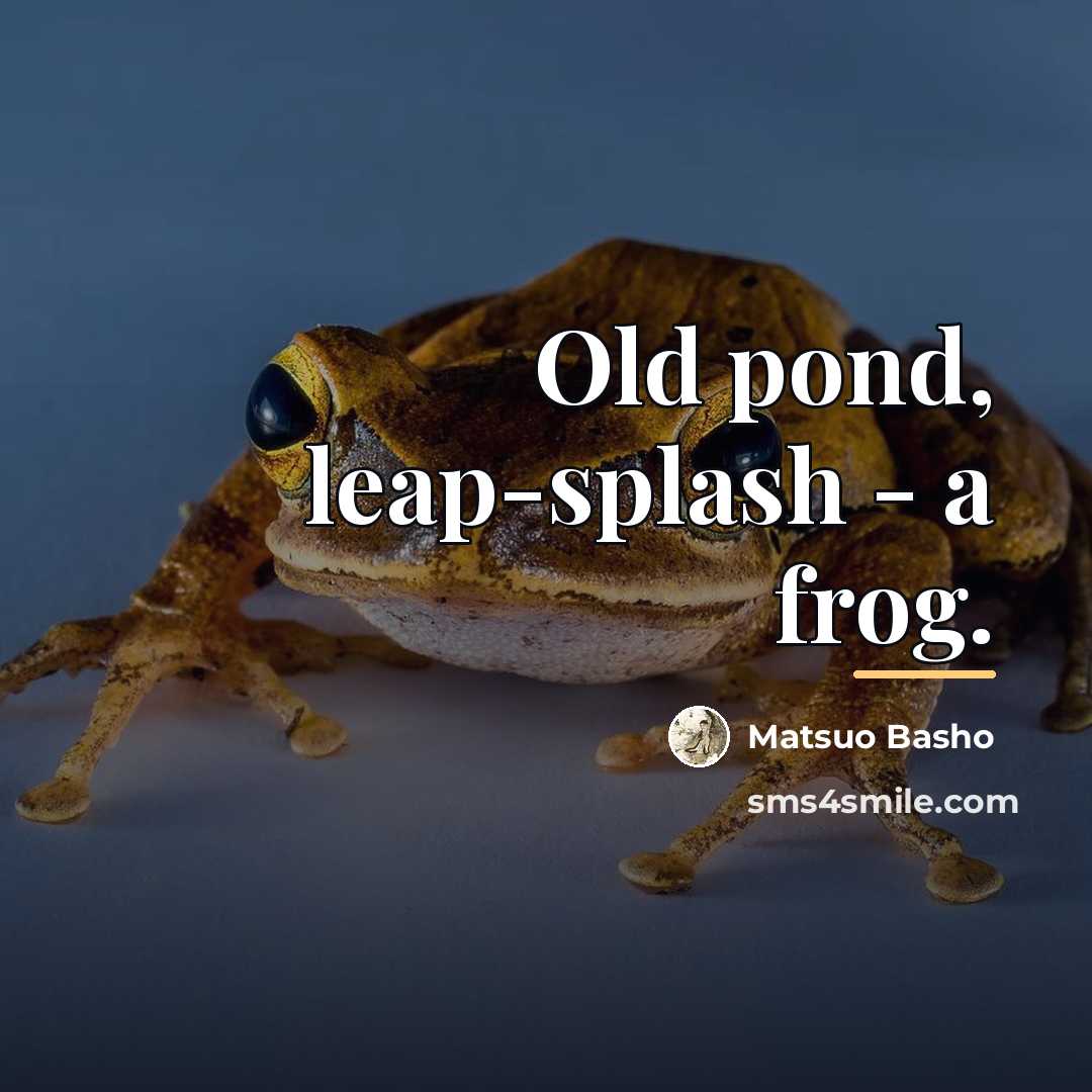 “Old pond, leap-splash - a frog.…” quote by Matsuo Basho