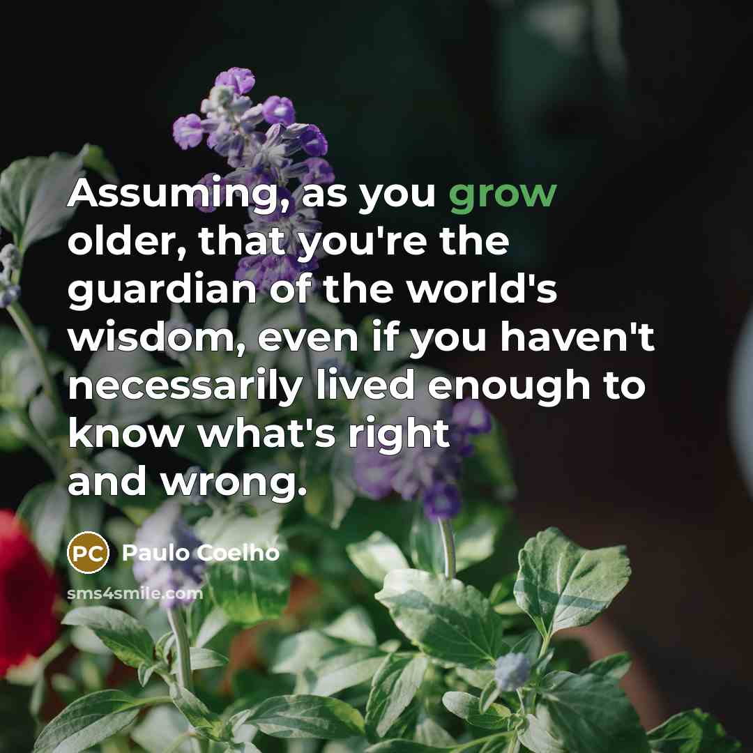 “Assuming, as you grow older, that you're the guardian of…” quote by Paulo Coelho