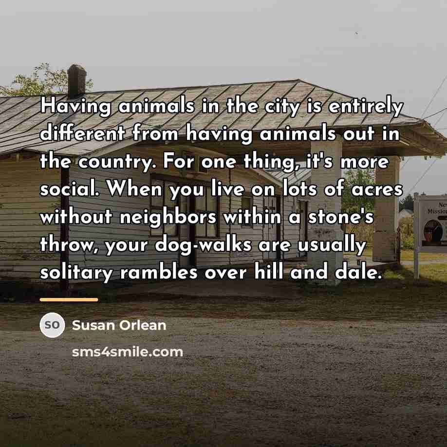 “Having animals in the city is entirely different from having…” quote by Susan Orlean