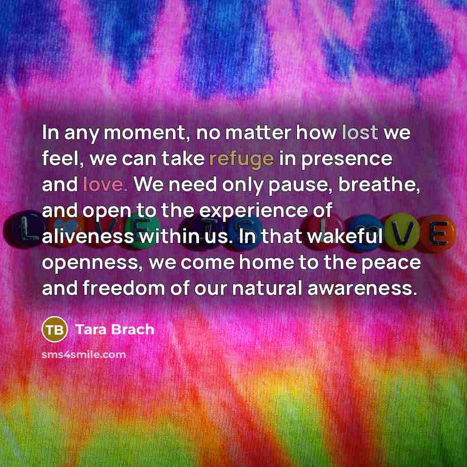 “In any moment, no matter how lost we feel, we…” quote by Tara Brach