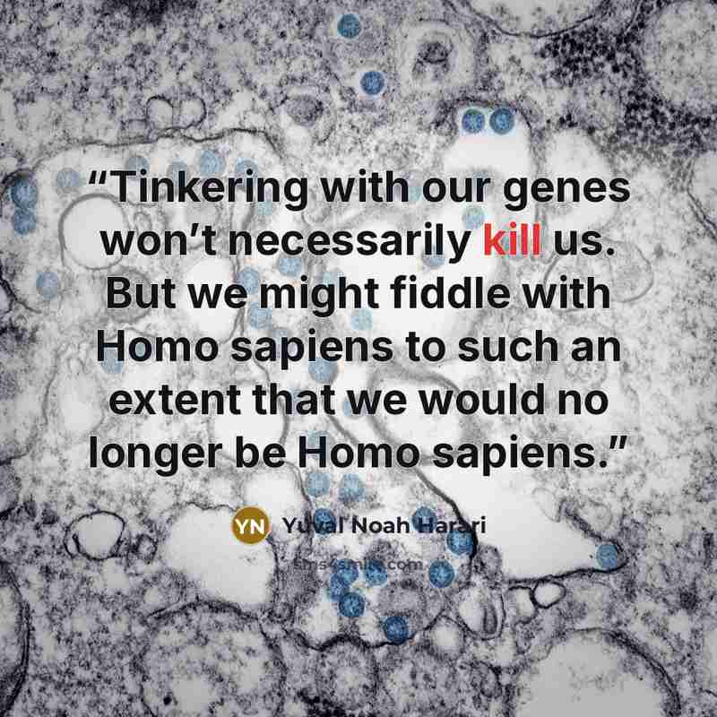 “Tinkering with our genes won’t necessarily kill us. But we might fiddle with Homo sapiens to such an extent that we would no longer be Homo sapiens.” quote by Yuval Noah Harari