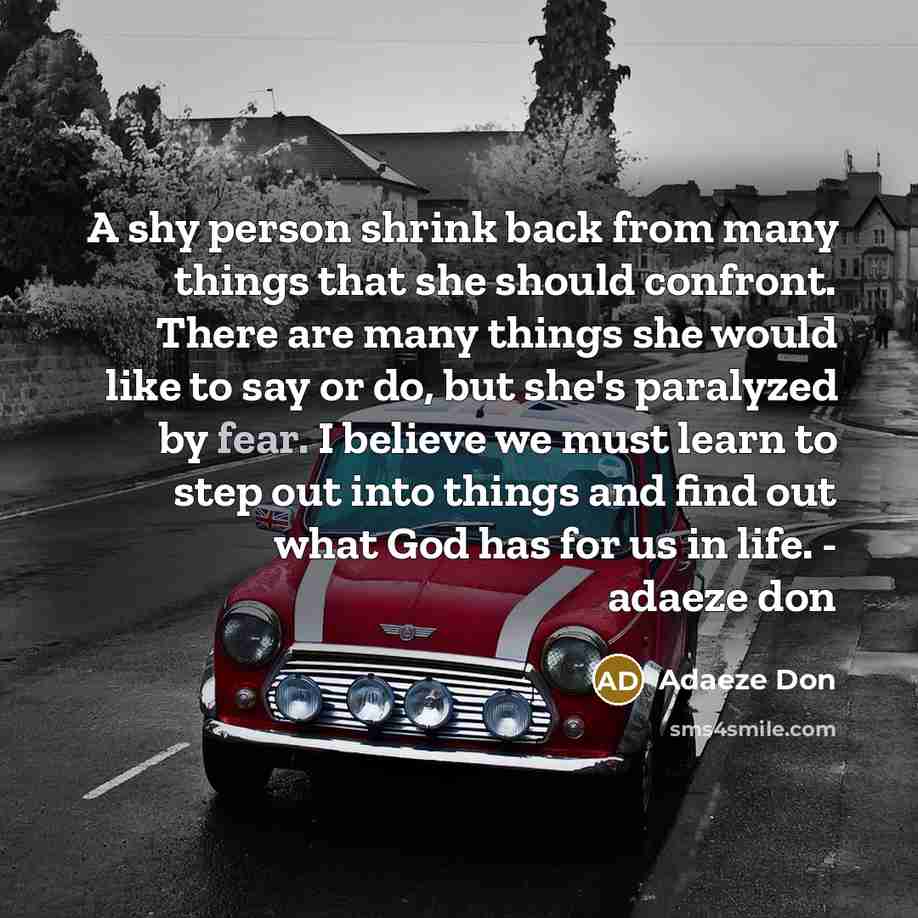 “A shy person shrink back from many things that she…” quote by Adaeze Don