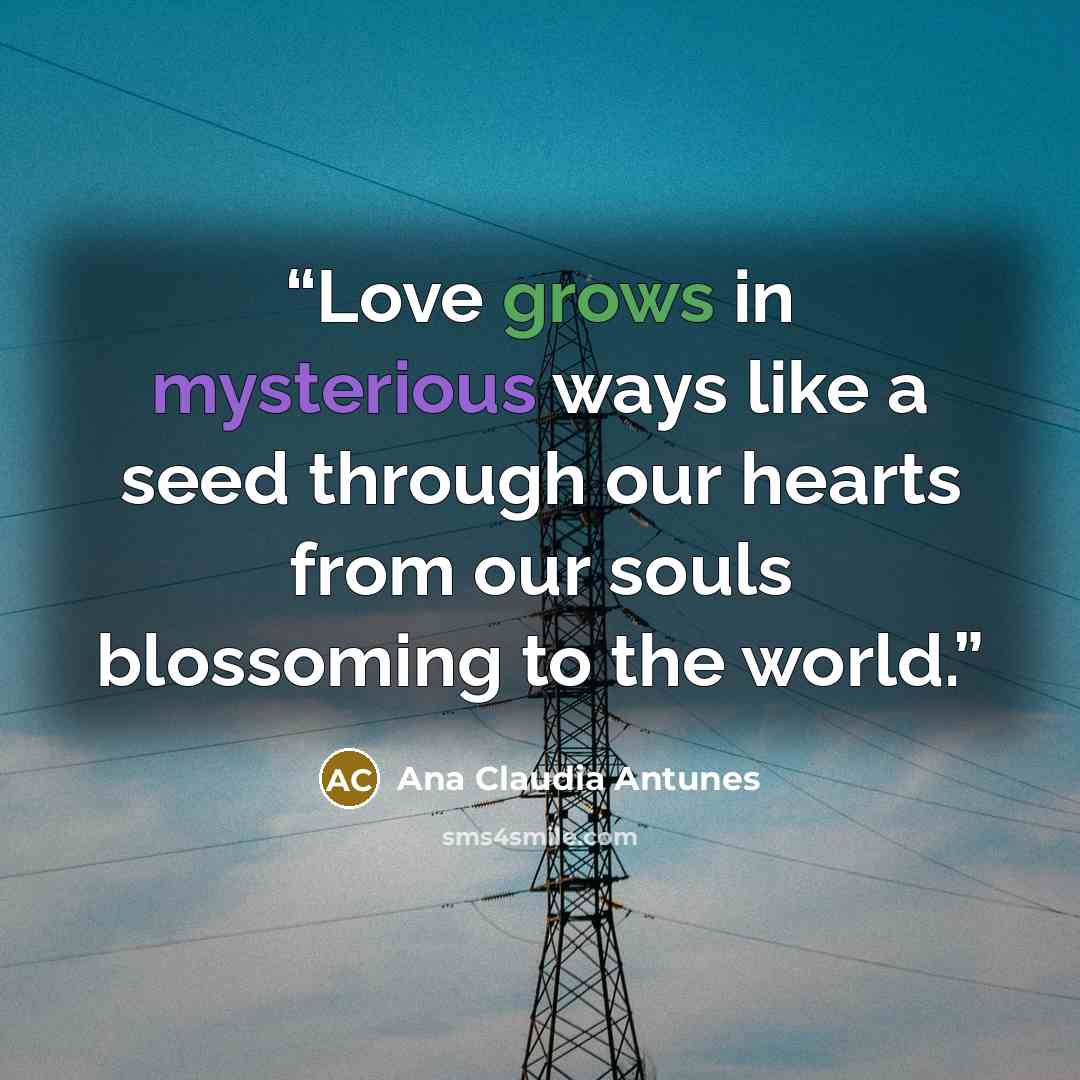 “Love grows in mysterious ways like a seed through our hearts from our souls blossoming to the world.” quote by Ana Claudia Antunes