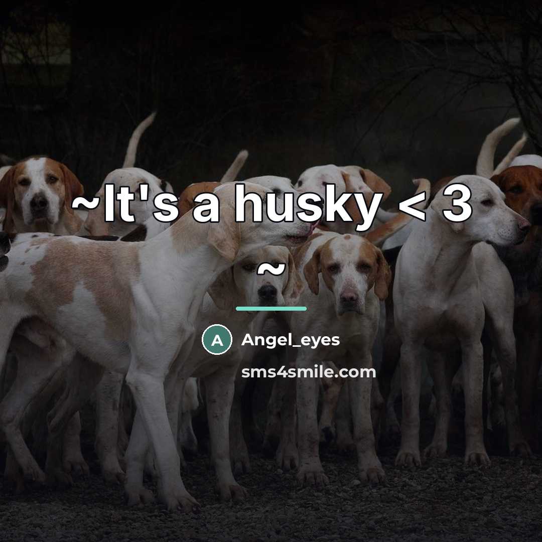 “~It's a husky < 3 ~…” quote by Angel_eyes