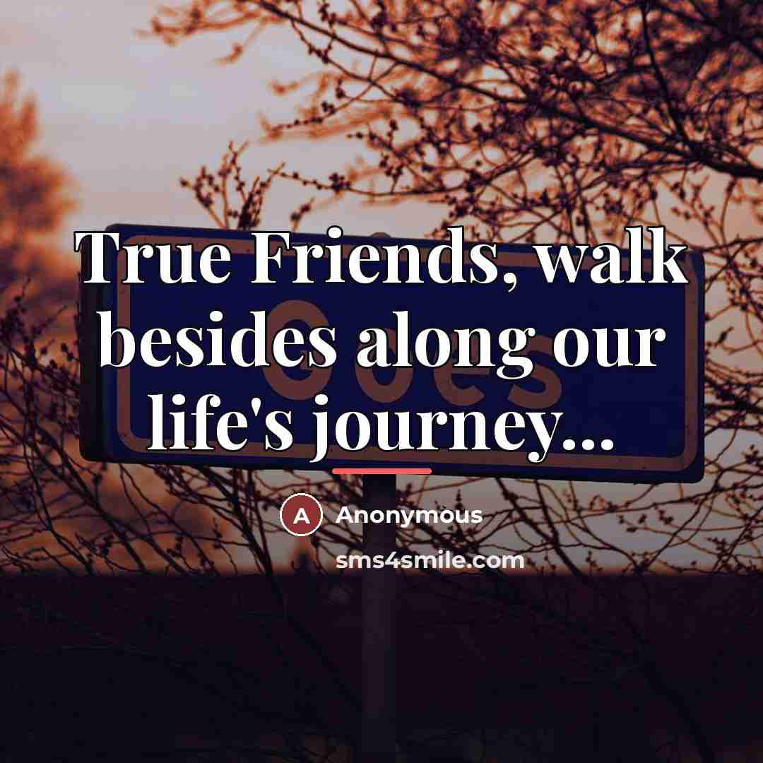“True Friends, walk besides along our life's journey...…” quote by Anonymous