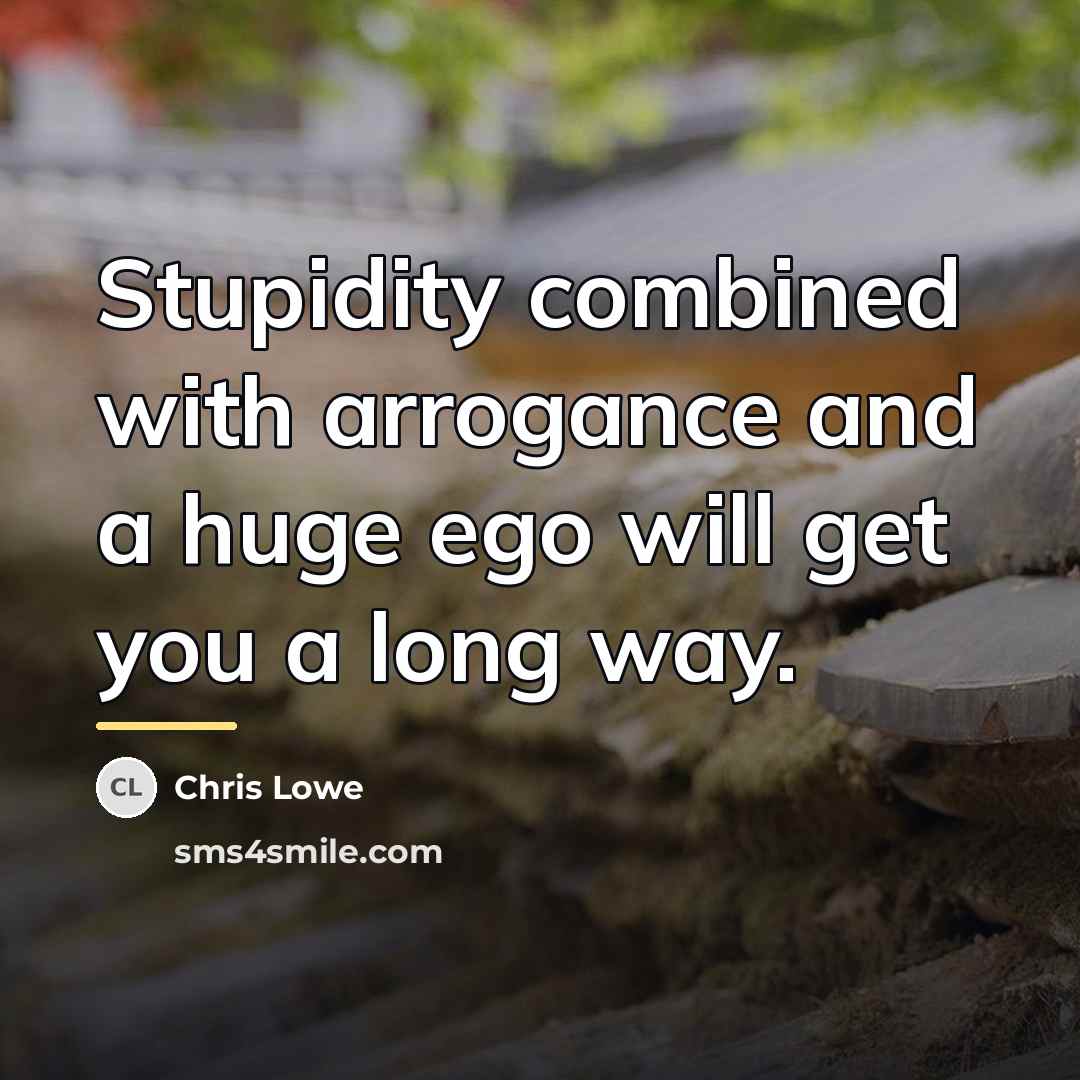 “Stupidity combined with arrogance and a huge ego will get…” quote by Chris Lowe