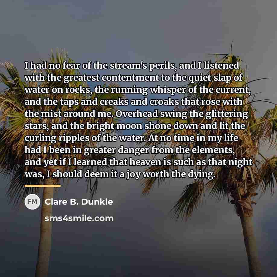 “I had no fear of the stream's perils, and I…” quote by Clare B. Dunkle