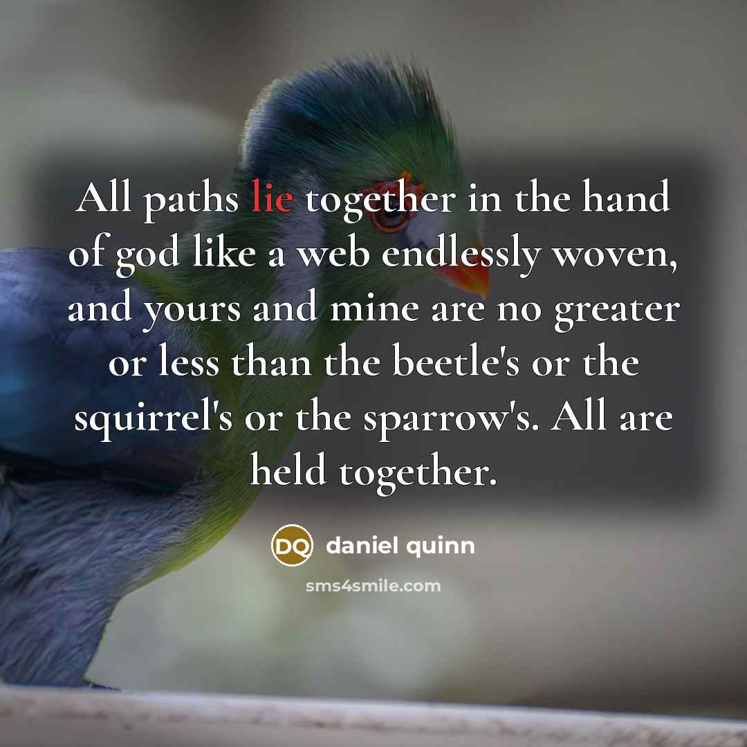 “All paths lie together in the hand of god like…” quote by Daniel Quinn