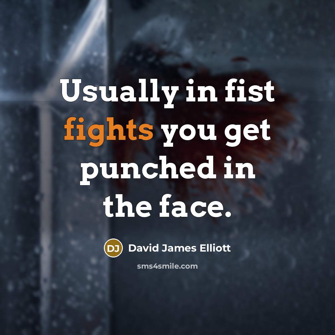 “Usually in fist fights you get punched in the face.…” quote by David James Elliott