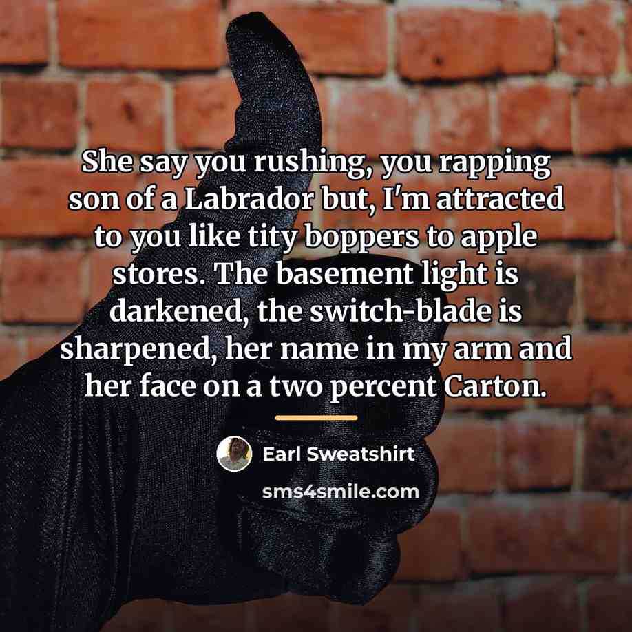 “She say you rushing, you rapping son of a Labrador…” quote by Earl Sweatshirt