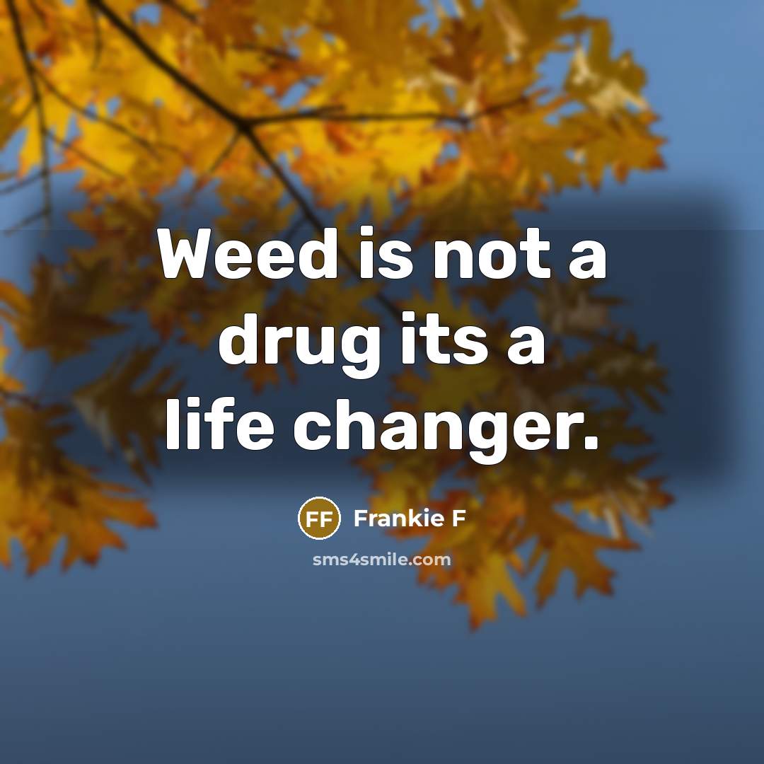“Weed is not a drug its a life changer.” quote by Frankie F