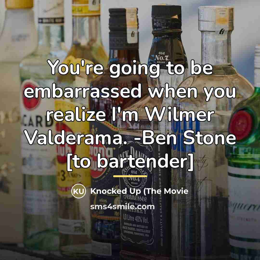 “You're going to be embarrassed when you realize I'm Wilmer…” quote by Knocked Up (The Movie